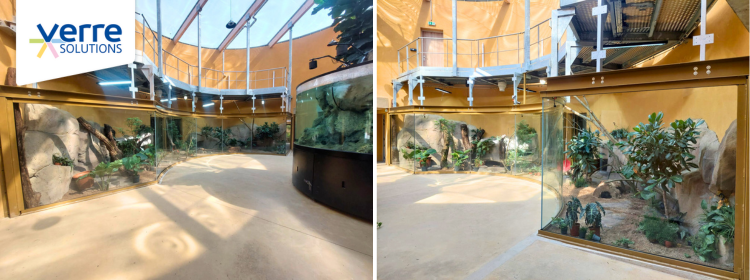 Détail de la pose du verre anti-reflet Verre Solutions par les miroitiers du Vivarium du Zoo de Mulhouse.